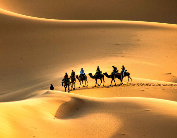 Camel Ride