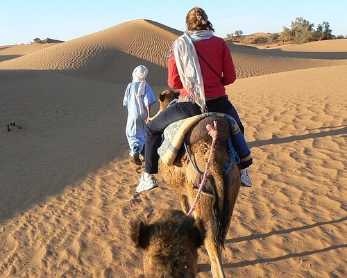 Day Trip to Guelmim: Discover the Sahara & Dromedary Culture