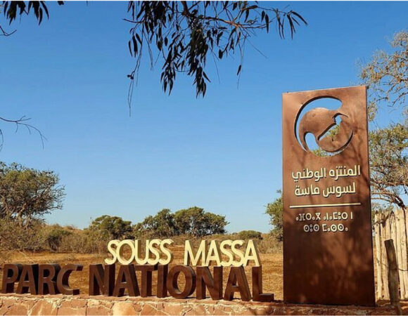 Discover Souss Massa National Park – A Wildlife Paradise