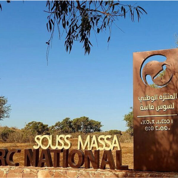 Discover Souss Massa National Park – A Wildlife Paradise