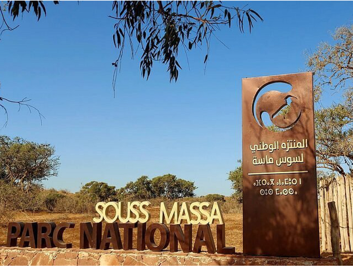 Discover Souss Massa National Park – A Wildlife Paradise