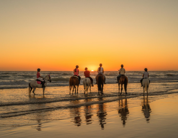 Horseback Ride