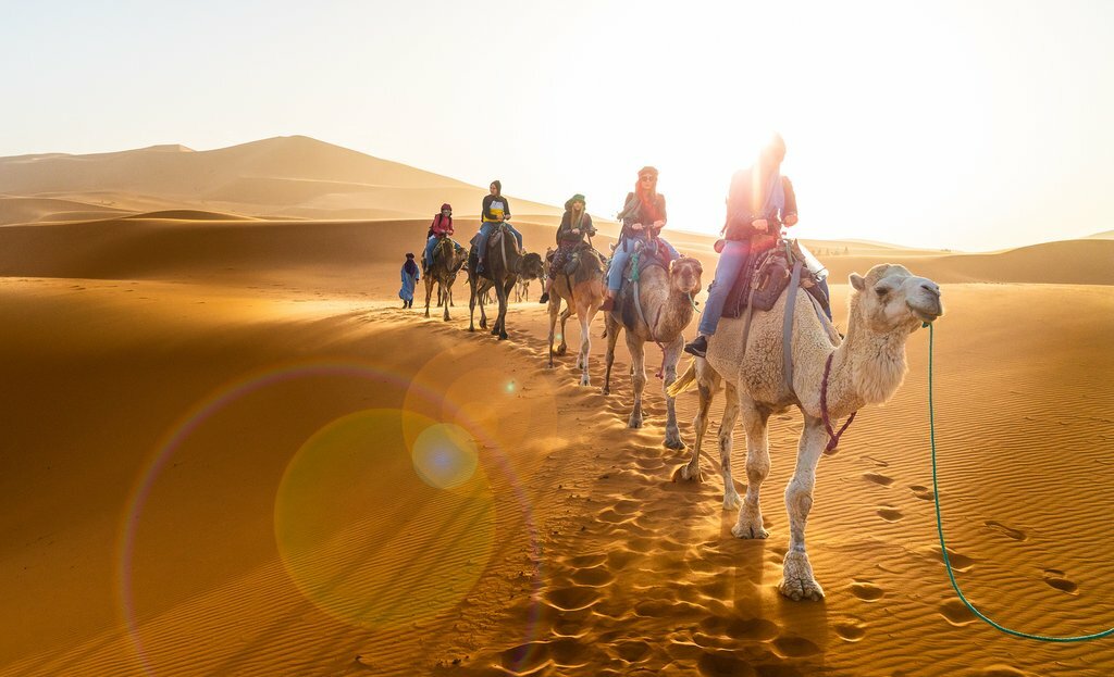 Camel Ride